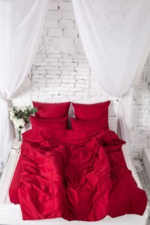 Комплект постельного белья Novita Сатин 210х220 Wine red bordo (Wine red bordo)