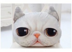 3D Подушка Кот Жасик (pK_Zhasik)