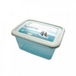 Контейнер прямоугольный для морозилки Keeeper Polar 2 л (KEE-3016.1)