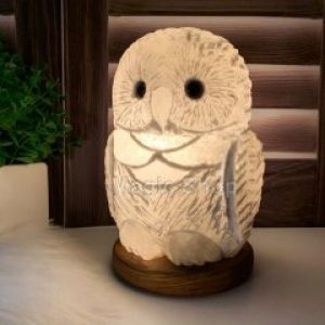 Соляная лампа- Ночник HealthLamp Совенок Большой с регулятором яркости в Подарочной упаковке