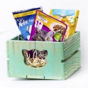 Ящик деревянный с котиком Мастерская мистера Томаса 15х25х9.5см нефритовый