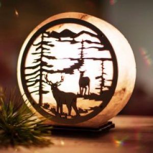 Настольная лампа- Ночник HealthLamp Лес из природной Соли с регулятором яркости