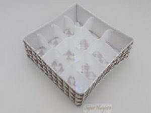 Органайзер для хранения нижнего белья Welcysun ST03 на 12 отделений