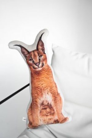 Подушка IPQ "Каракал" 55*55 домашние животные