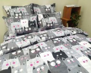 Постельное белье LARA бязь d11083e2 евро