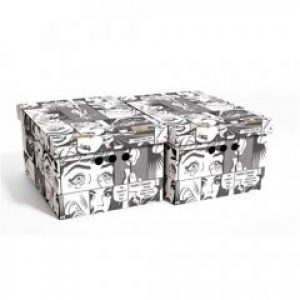 Набор картонных ящиков для хранения А4 комикс 2 шт 0611.5 Global-Pak (Польша)