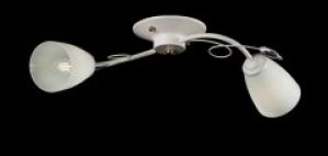 Люстра с плафонами Ray LA084/2 (WT+WT) (AN001516)