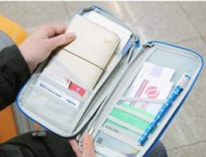 Органайзер для документов