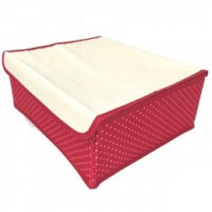 Органайзер для нижнего белья Hanger с крышкой красный (300-03-06)