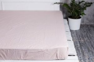 Простынь на резинке Novita Бязь 626 90х200 Парфэ (Простынь на резинке бязь 90*200 рис. 626 Парфэ)