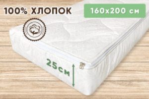 Чехол защитный на матрас Point Art Classic на молнии 160х200х25 см