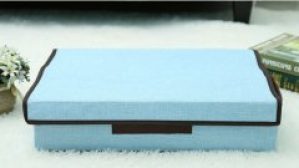 Органайзер для нижнего белья (ОД-108-1)