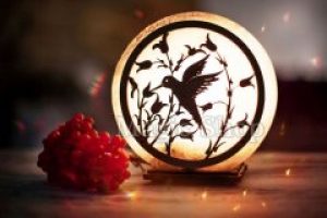 Соляная лампа Колибри