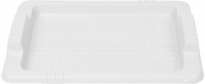 Поднос прямоугольный Heidrun Kitchen-mix 39 х 29 см Белый (4020_белый)