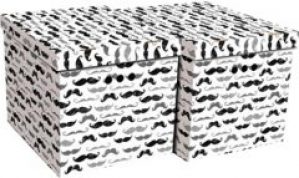 Набор картонных ящиков для хранения Global-Pak XL 42x32x32см 2шт Усы (1217.30glp)