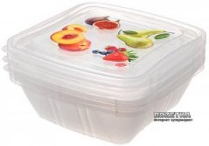 Контейнер для хранения продуктов Snips 0.5 л 3 шт (8001136002861)