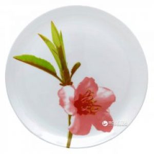 Тарелка обеденная Luminarc Water круглая 25 см Color (J4652)