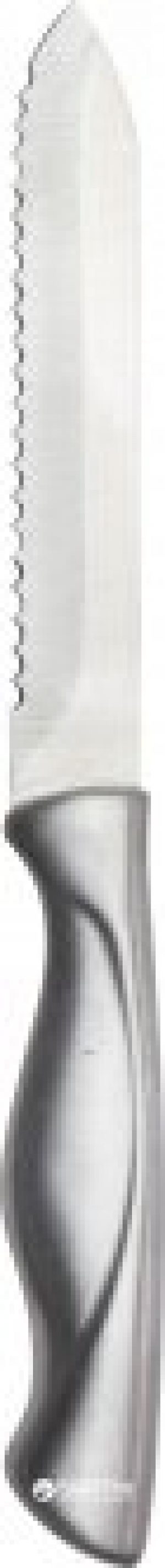 Кухонный нож Renberg Jena для стейка 11.25 см (RB-2682)