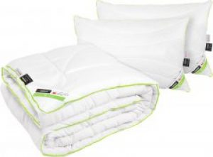 Одеяло Sonex c Тинсулейтом Алое Вера 3М Thinsulate Всесезонное 200 х 220 + подушка 50 х 70 2 шт (SO102199)