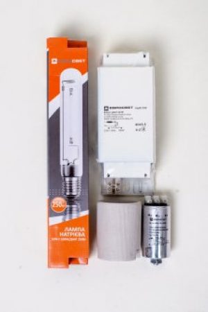 Комплект ДНАТ Євросвіт 250 Вт