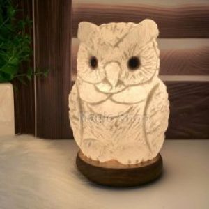 Соляная лампа- Ночник HealthLamp Филин с регулятором яркости в Подарочной упаковке