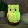 Соляная лампа- Ночник HealthLamp Филин Зеленый с регулятором яркости в Подарочной упаковке