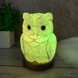 Соляная лампа- Ночник HealthLamp Филин Зеленый с регулятором яркости в Подарочной упаковке