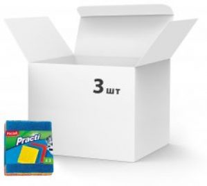 Упаковка абразивных губок Paclan Practi 3 шт по 3 губки (5900942320059)