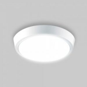 Настенно-потолочный светодиодный светильник LUMINARIA DLR 20W 220V IP20 5500K