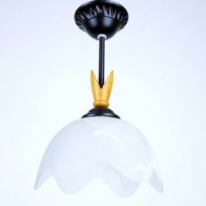 Люстра Sneha (лс 11029/1 109)