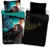 Детское постельное бельё Гарри Поттер Hogwarts New magic (наволочка+пододеяльник) хлопок