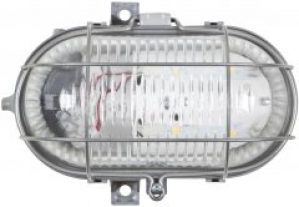 Настенно-потолочный светильник Lena Lighting OVAL LED 4.5W 3000K (30939019)