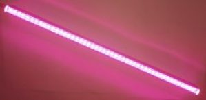 Светодиодный фитосветильник для растений 600 мм 9 Вт FullRang