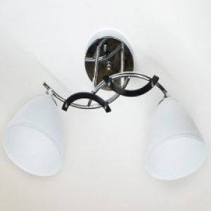 Люстра сучасна Свет на два плафона срібляста 4569/2