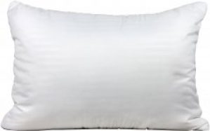 Подушка LightHouse Swan Лебяжий пух 50х70 (2200000549822)