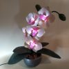 Светильник-ночник "Орхидея Вдохновение" (КО16040903)