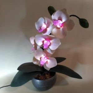 Светильник-ночник "Орхидея Вдохновение" (КО16040903)