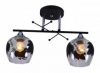 Люстра Sirius на два плафона 195056/2v