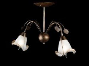 Люстра с плафонами Ray (L10171/2B) (AN001650)