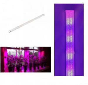 Фитосветильник для растений Diy Electronix 36Вт длина 1210мм Bkwhite–36