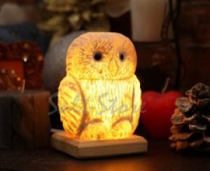 Соляная лампа Salt-L Сова 2 кг