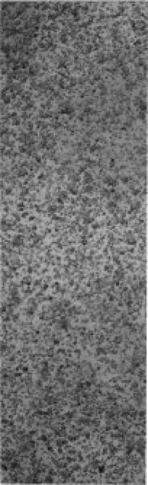 Губка сменная для швабры Kornel HY 0097 30 см (HY 0096)