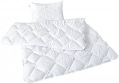 Набор Sleepingg Одеяло всесезонное 140х210 + подушка 50х70 (4820227283224)
