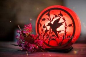 Соляная лампа Колибри Красный