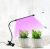 Светодиодная led лампа для растений Wi-Grain с таймером. Фитолампа